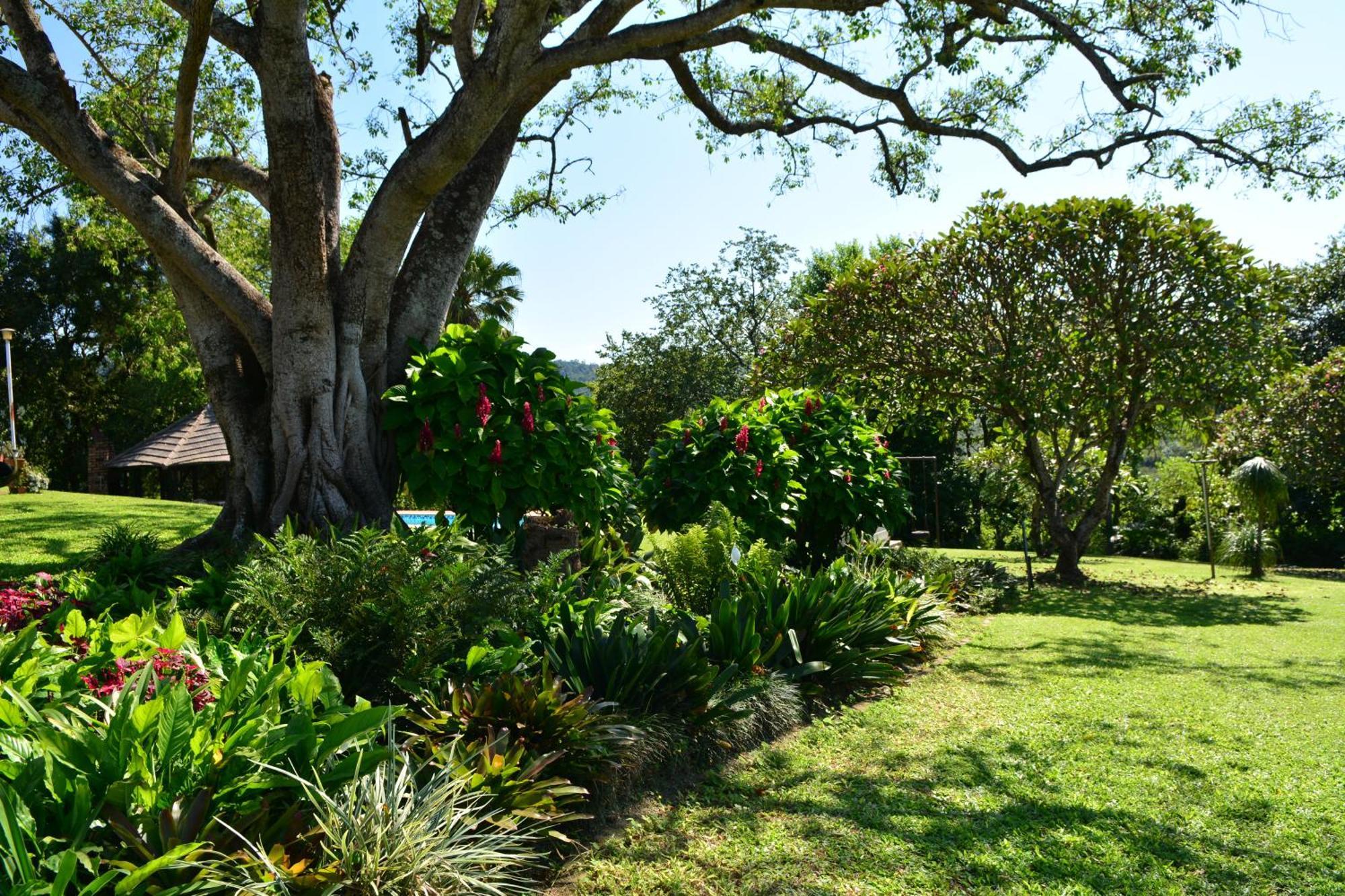 Oppi Plaas Villa Hazyview Dış mekan fotoğraf